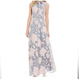 Badgley Mischka NWT Darcy Dove Dress
